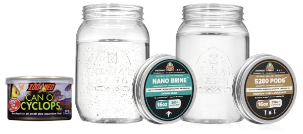 16oz. Plastic Mason Jars by Celebrate It™, 3ct.