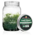 Algaebarn Clean Chaeto - Chaetomorpha Macroalgae