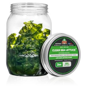 Algaebarn Clean Sea Lettuce - Ulva Lactuca