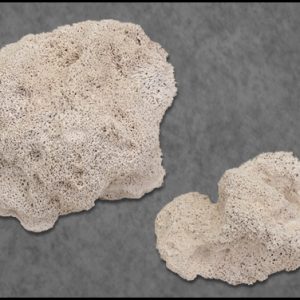 marine pure rock ceramic biofilter media with box at algaebarn