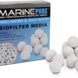 marine pure spheres ceramic biofilter media at algae barn