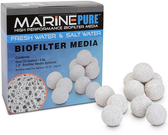 marine pure spheres ceramic biofilter media at algae barn