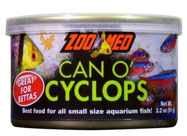 Zoomed Can-O-Cyclops - A great feed for captive bred mandarins