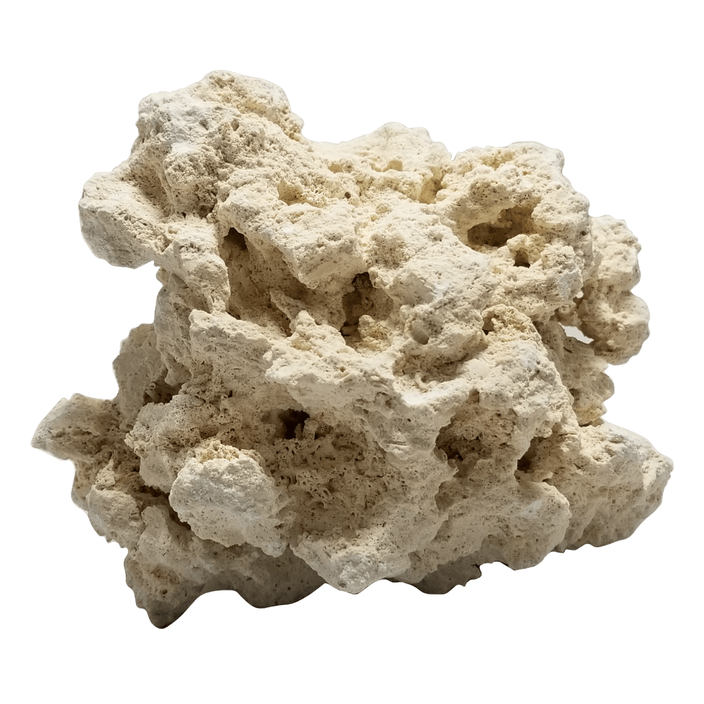 Porous Lightweight Great for Aquariums Live 35 lbs Med/Lrg Dry Reef Base Rock 