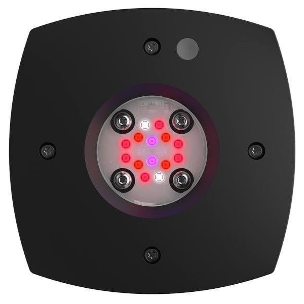 AI Prime Fuge LED light 16HD