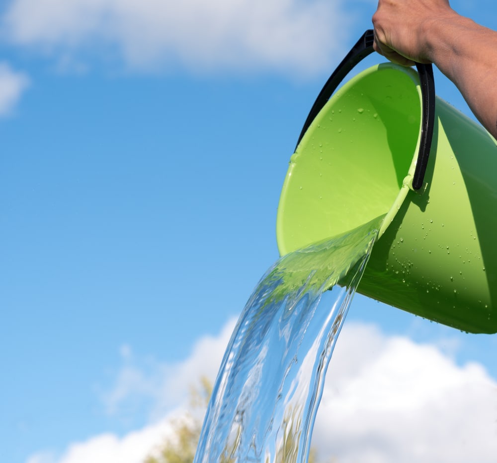 endless water change buckets