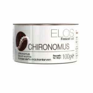 bloodworms