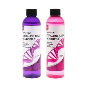 Coralline Algae in a Bottle, In Pink or Purple!