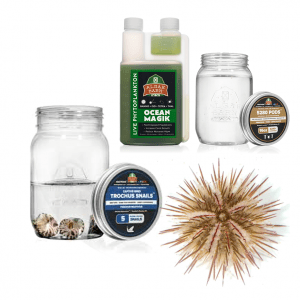 Hair Algae Killer Kit by AlgaeBarn