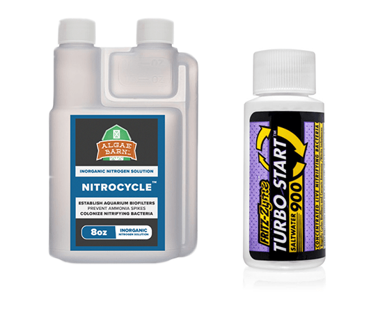 Zwitsers ontbijt meisje Aquarium Cycle Kit | Kits and Solutions | AlgaeBarn