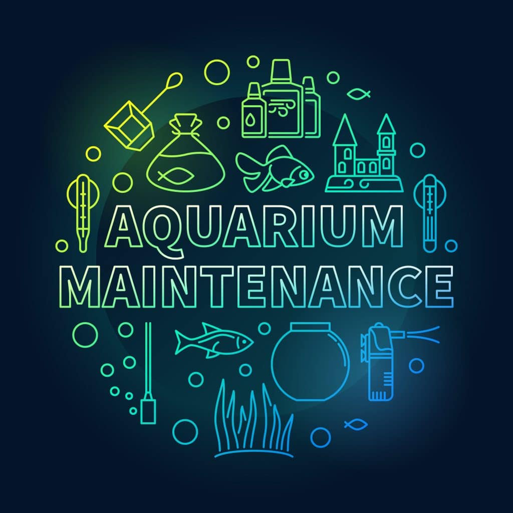 Maintaining sales saltwater aquarium