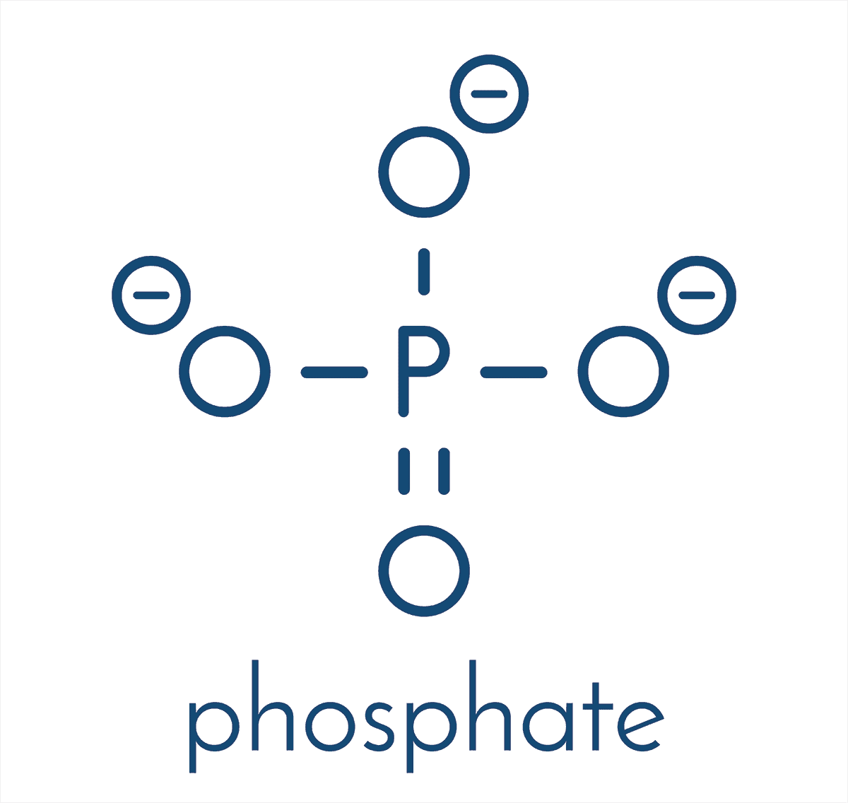 Controlling phosphate in your Reef Tank