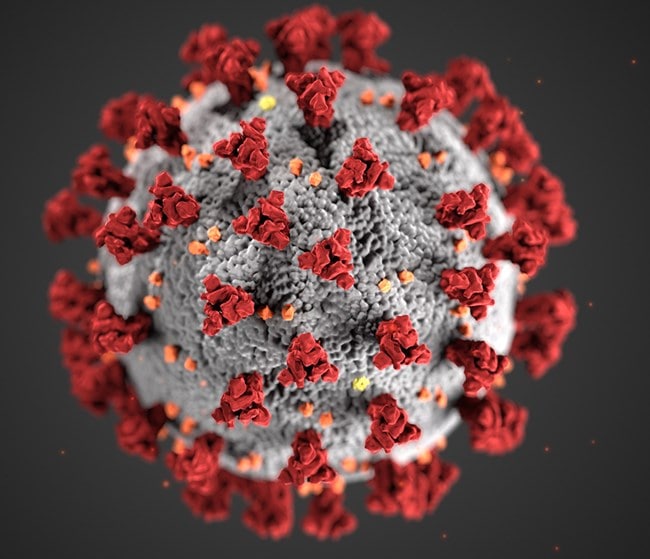 Coronavirus Image from the CDC