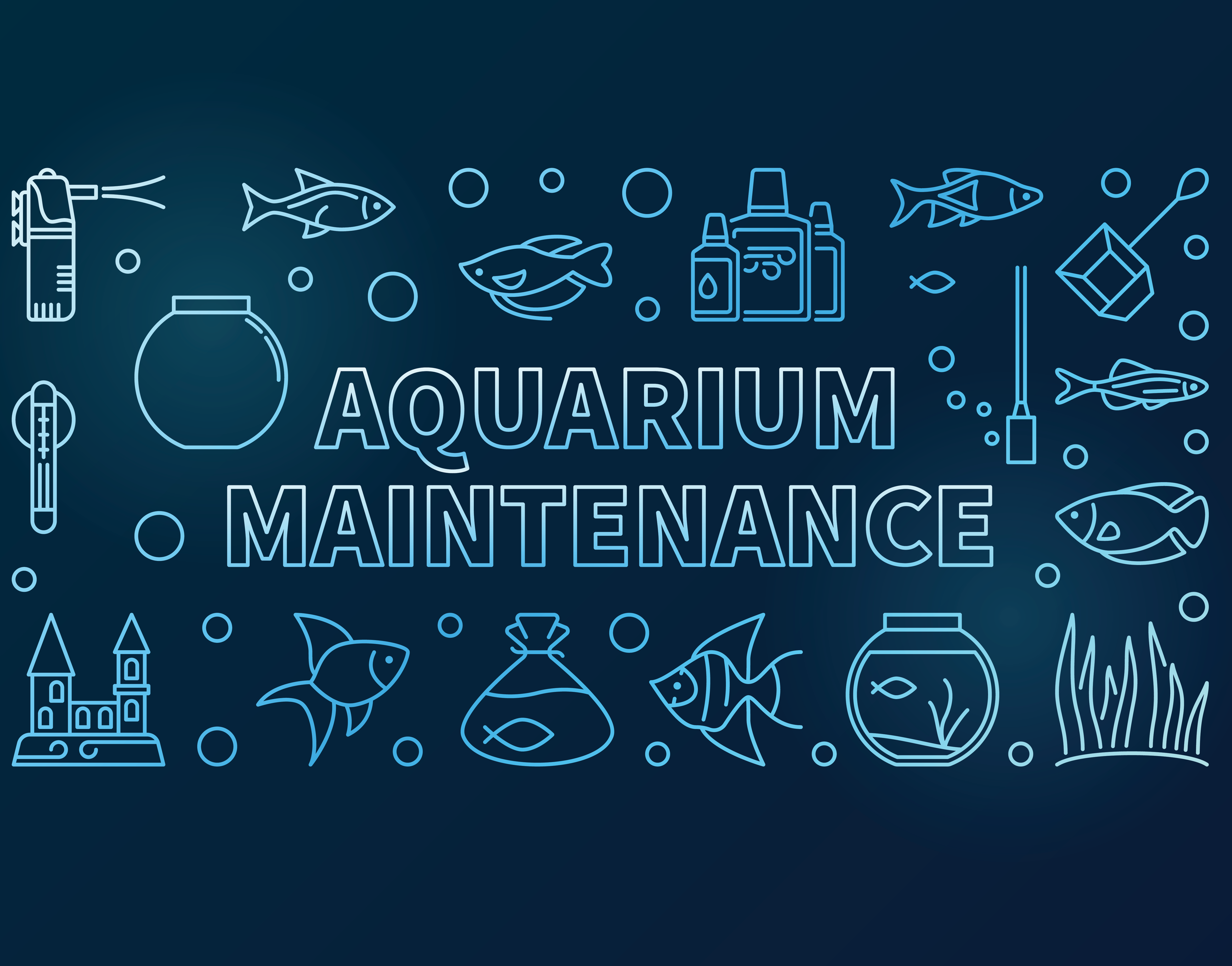 Aquarium Maintenance Help!