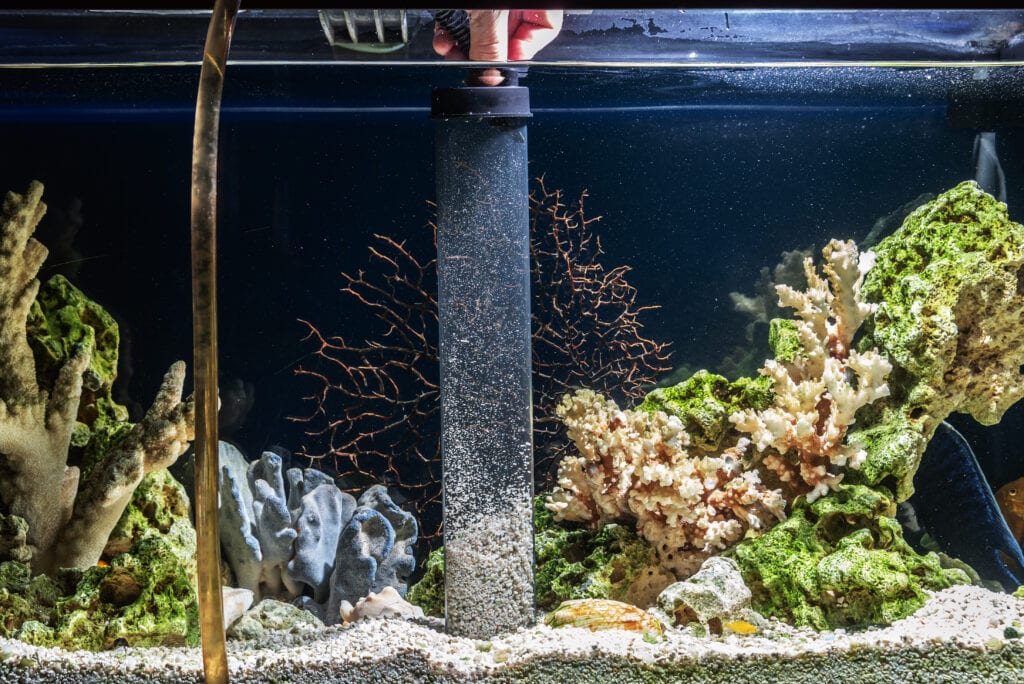 Aquarium Maintenance 101, Aquarium Maintenance