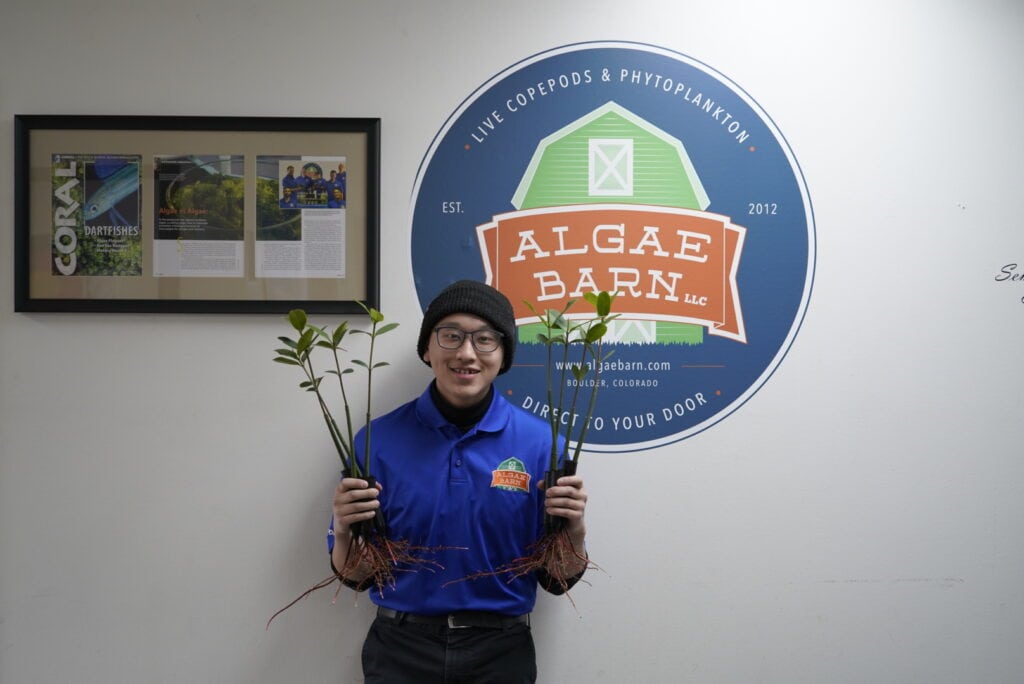 Algaebarn Mangroves are ready to plant trees!