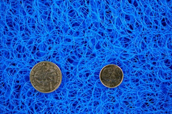 Plastic mesh with quarter and dime for scale